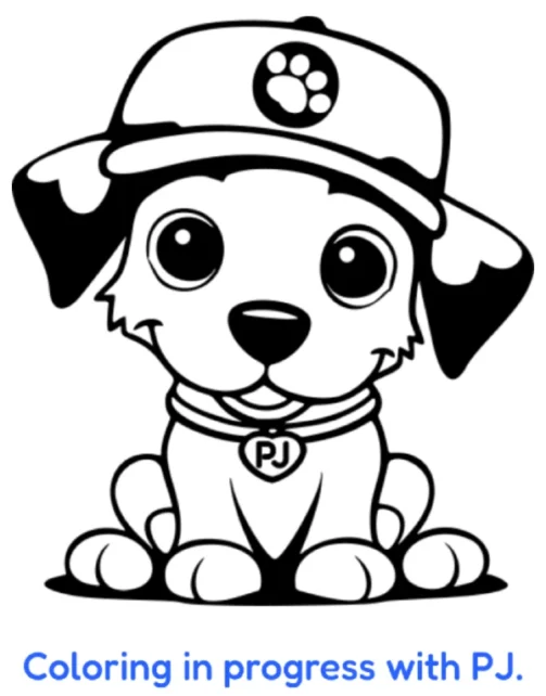 front cover image of PJ